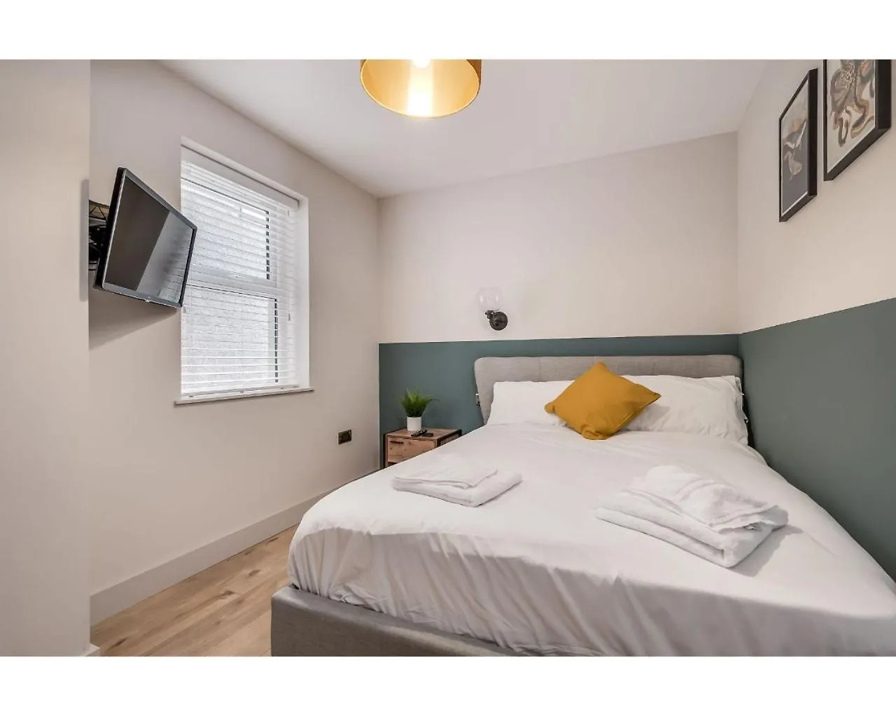 Bliss Stay Belfast University Street Lejlighed